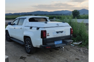 2022年11月皮卡銷量排行榜 累計4.2萬輛 亮點是出口